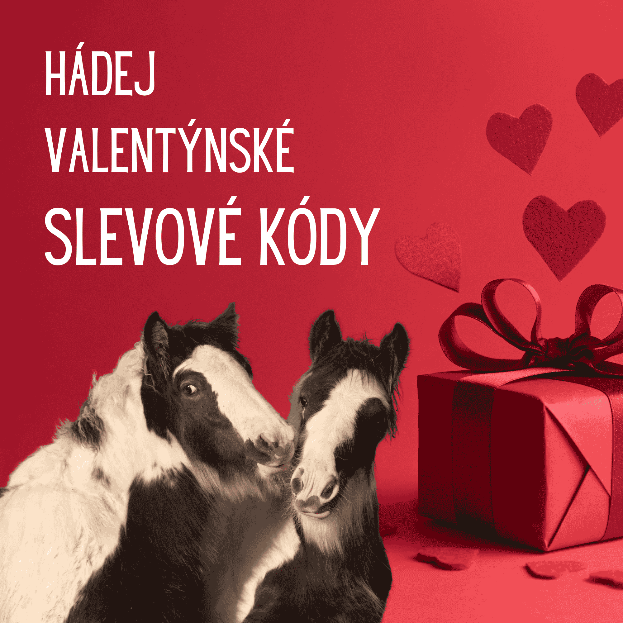 Soutěže