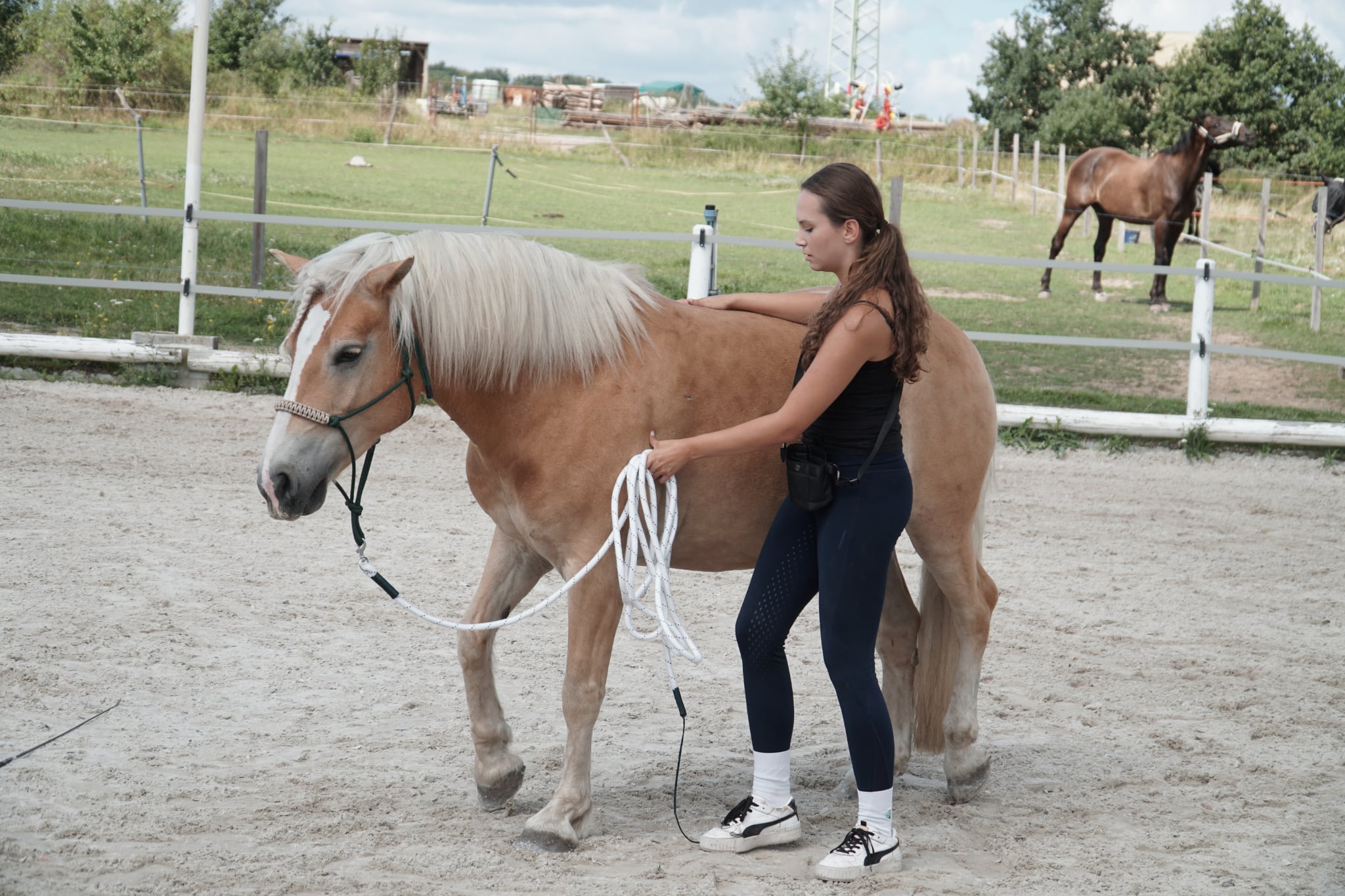 Přirozená komunikace s koněm: vše, co potřebujete vědět