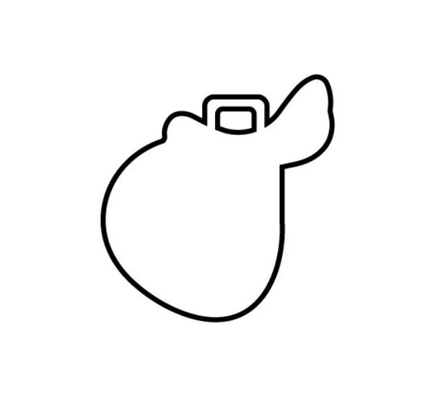 Beránky