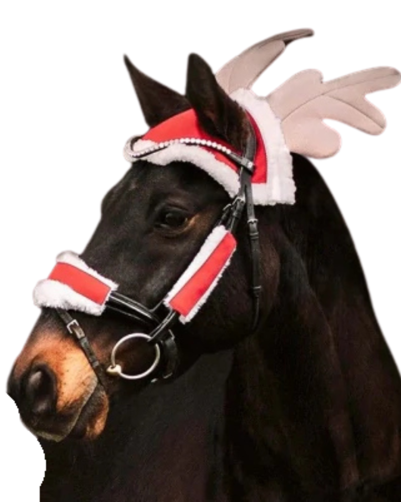 Vánoční dárky pro koně