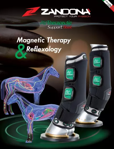 Terapeutické magnetické zadní chrániče ZANDONA AIR