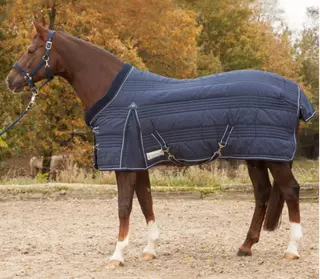 Stájová deka Comfort 300 g