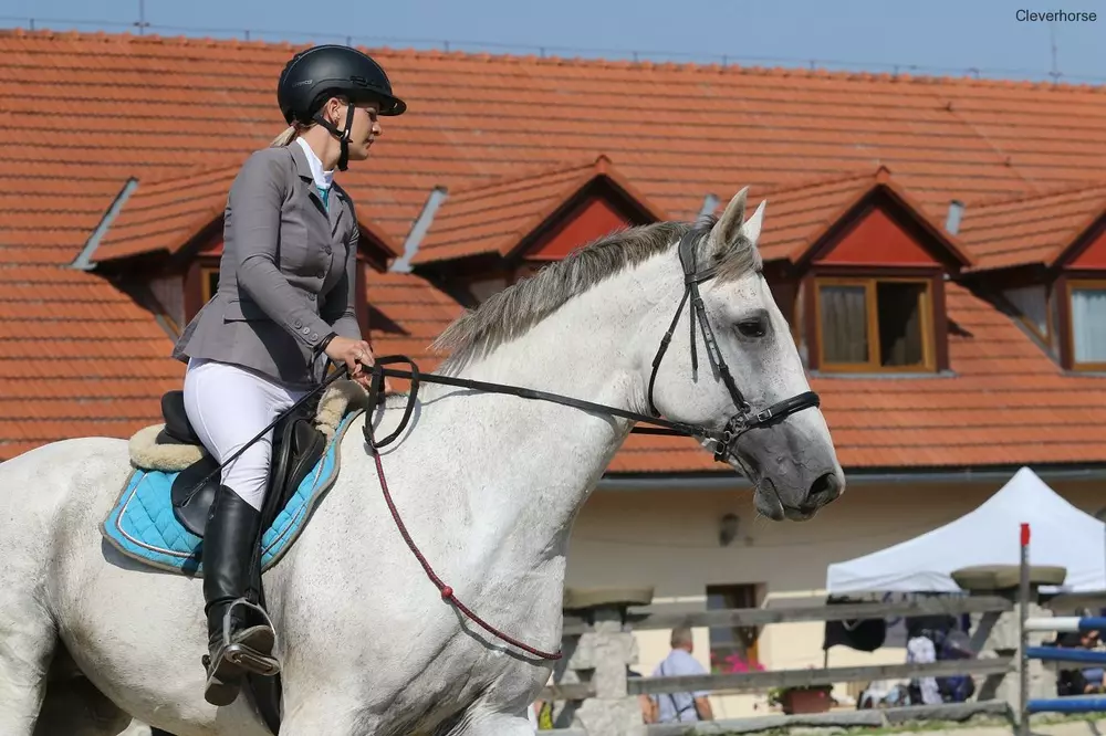 Hackamore nánosník F.R.A. Calli bez ramen