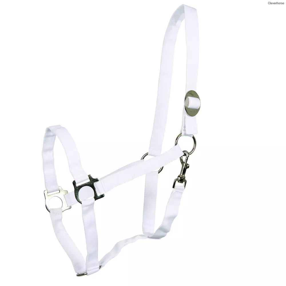 Nylonová ohlávka Perlon