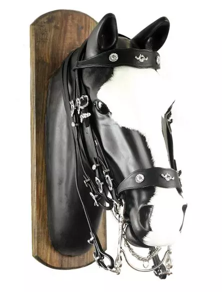 Barokní set UZDA, poprsník, podocasník, dvojité otěže