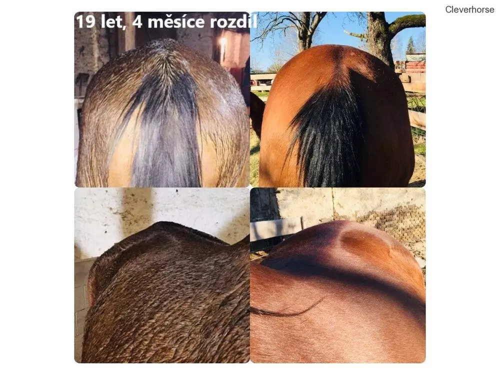 Perfect Equi Complete+ 25kg
