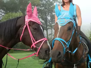 Uzdečka Anglická kombinovaná z Biothane