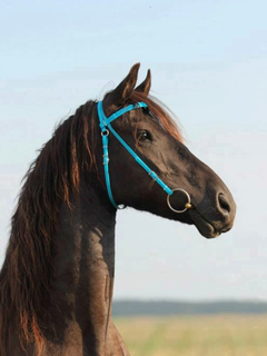 Uzdečka bez nánosníku Biothane