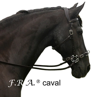 Uzdečka s hackamorem a obnoskem F.R.A. Caval