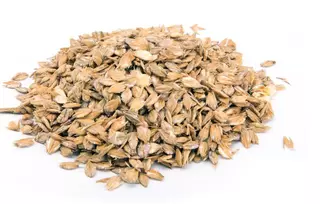 Ječmenné vločky ADW hydrotermické 15kg