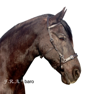 Obnosková uzdečka F.R.A. BARO s udidlem i bez udidla