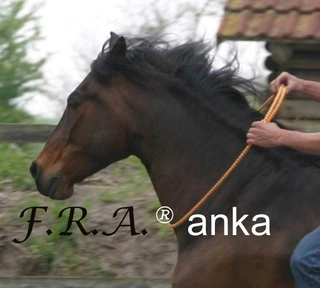 Nákrční řemen F.R.A. Anka