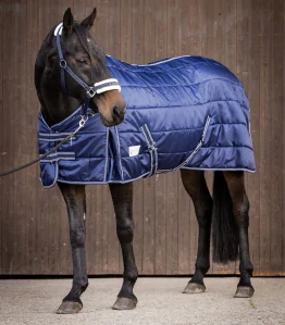 Stájová deka Economic 300g