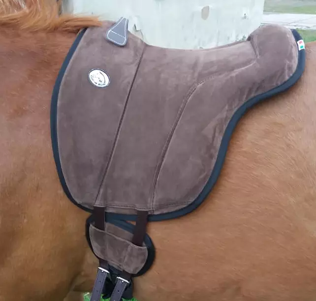 PŮJČOVNA Jezdecký pad Brockamp® včetně podbřišníku ZKUŠEBNÍ