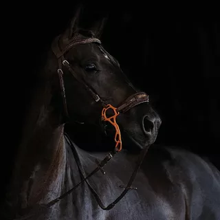 Hliníkové hackamore Acavallo