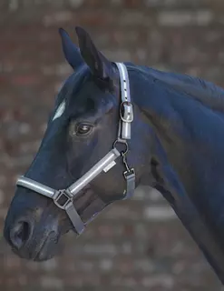 Reflexní ohlávka STRIPE