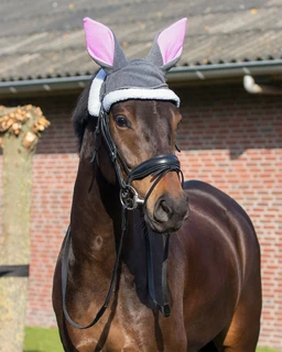 Čabraka Easter