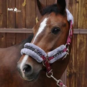 Ohlávka s beránkem FP Verona