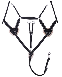 5ti bodový poprsník Ontario