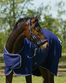 Sada Dolci deka + ohlávka Navy