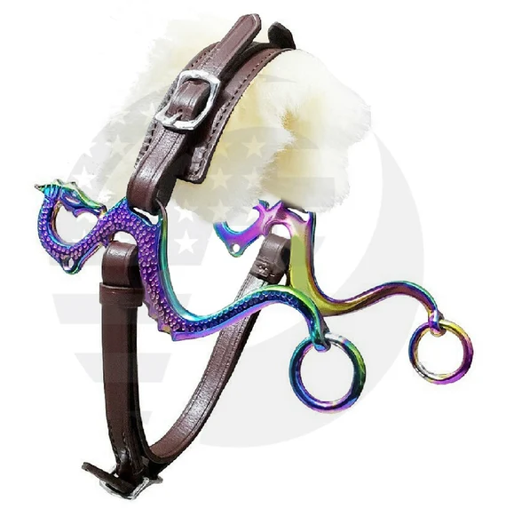 Hackamore ramena Dragon duhové