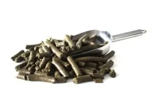 100% Lněné výlisky pro koně 1 kg 