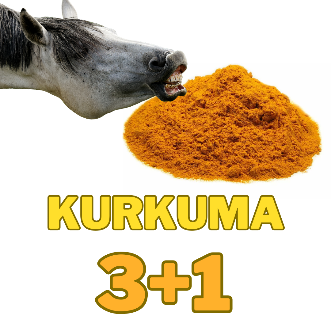 Kurkuma mletá 3+1 kg ZDARMA