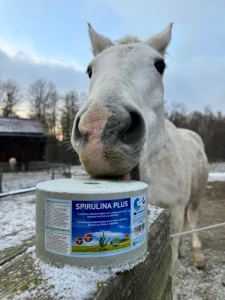 Minerální liz z mořské soli se spirulinou vitamíny a esenciální živiny 3 kg