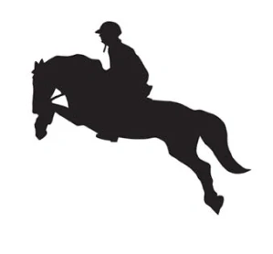 Samolepka na auto Parkur