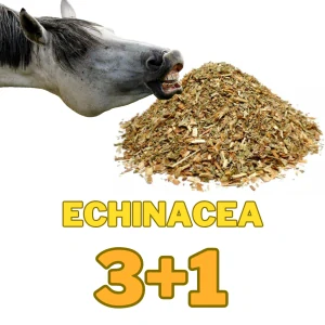 Echinacea nať řez 3+1 kg ZDARMA