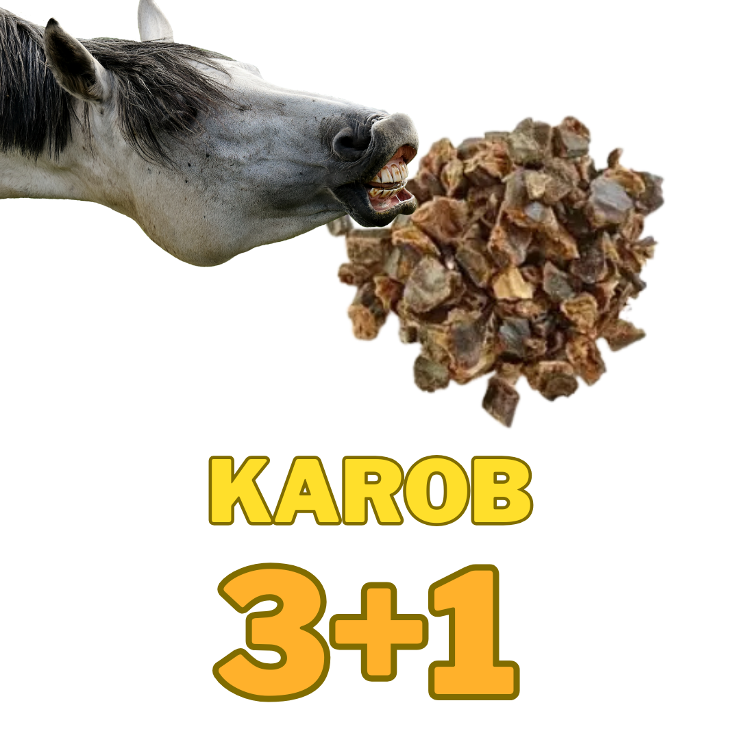 Karob 3+1 kg ZDARMA