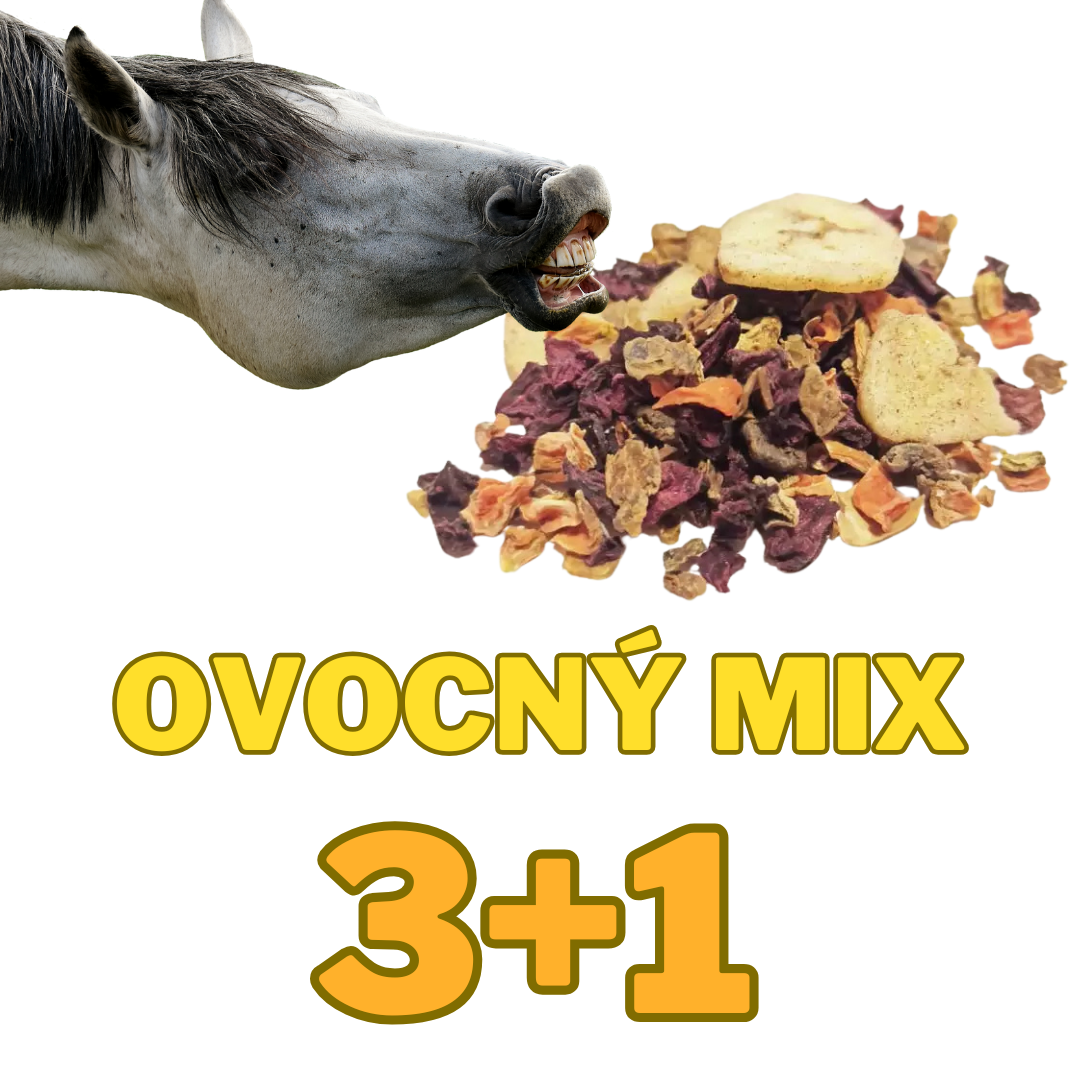 Ovocný mix pro koně 3+1 kg ZDARMA