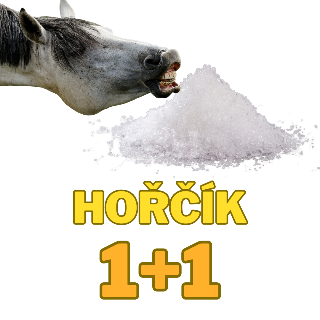 Organický hořčík pro koně 1+1 kg ZDARMA