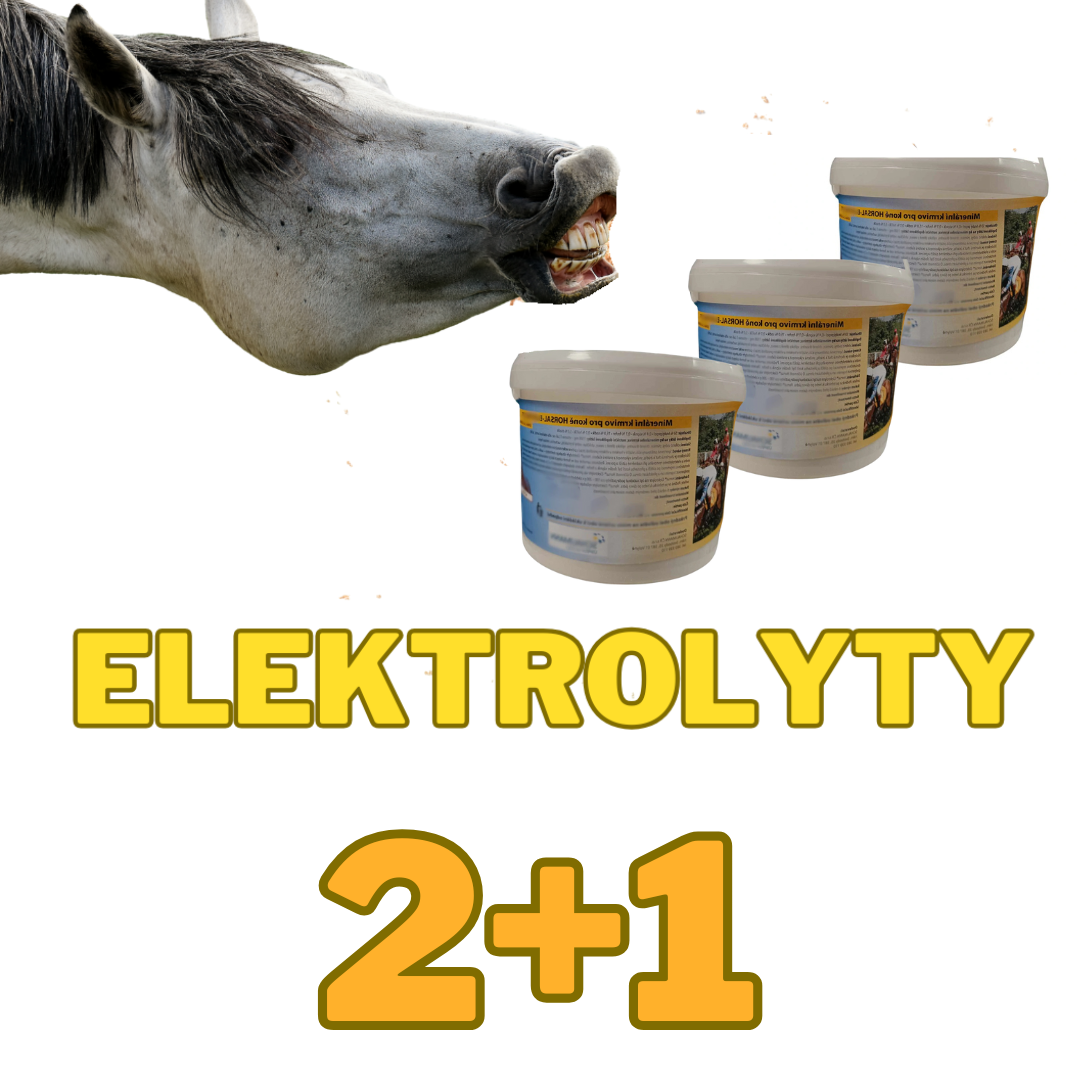 Elektrolyty pro koně prášek 2+1 kg ZDARMA