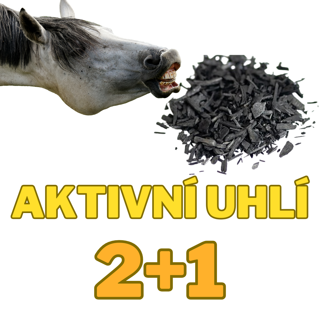 Biochar aktivní uhlí 1,6 kg 2+1 ZDARMA
