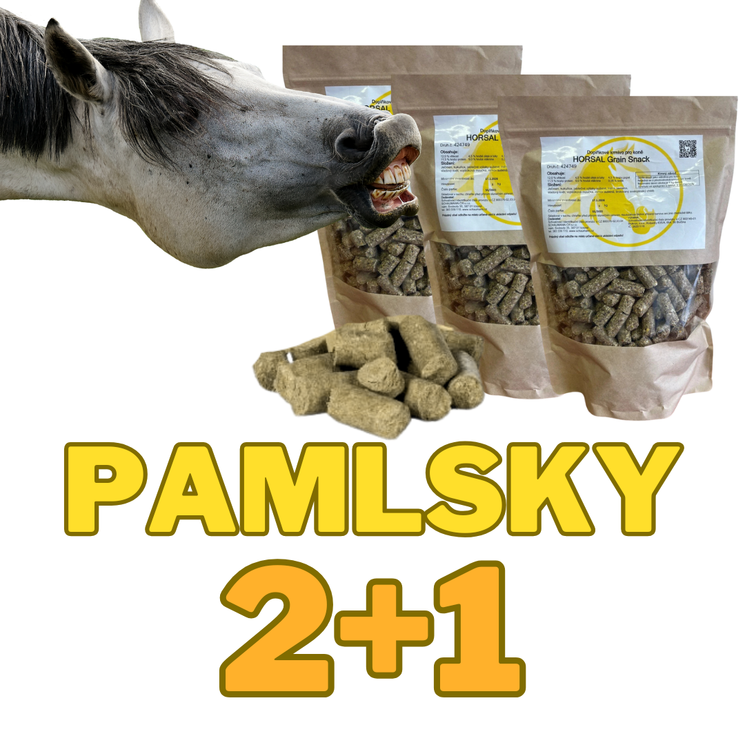 Pamlsky Grain snack 2+1 kg zdarma