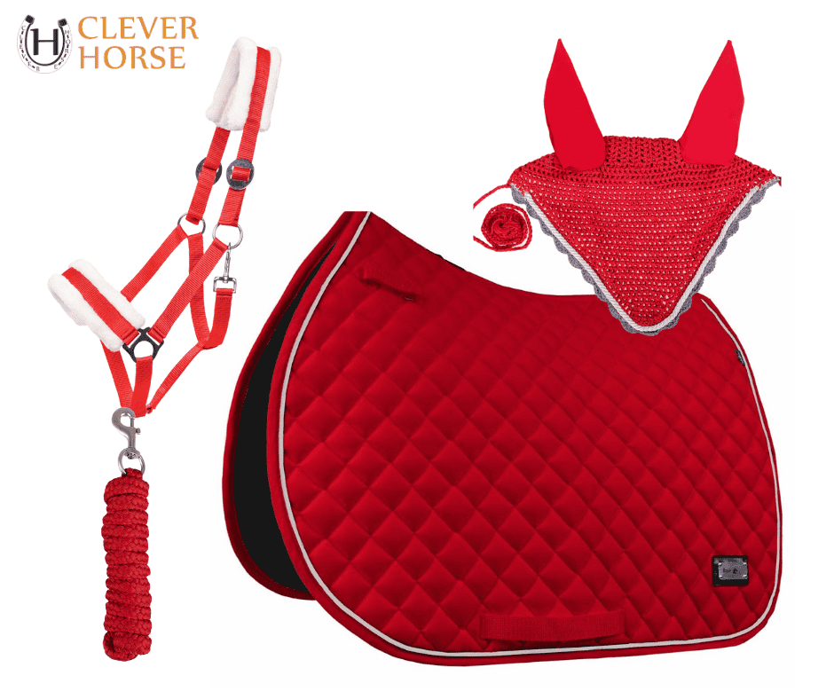 SET dečka + čabraka + ohlávka + vodítko ČERVENÁ