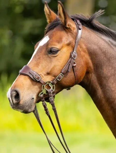 Bezudidlová uzdečka EDIX ED4 Hack‑Q® Classic