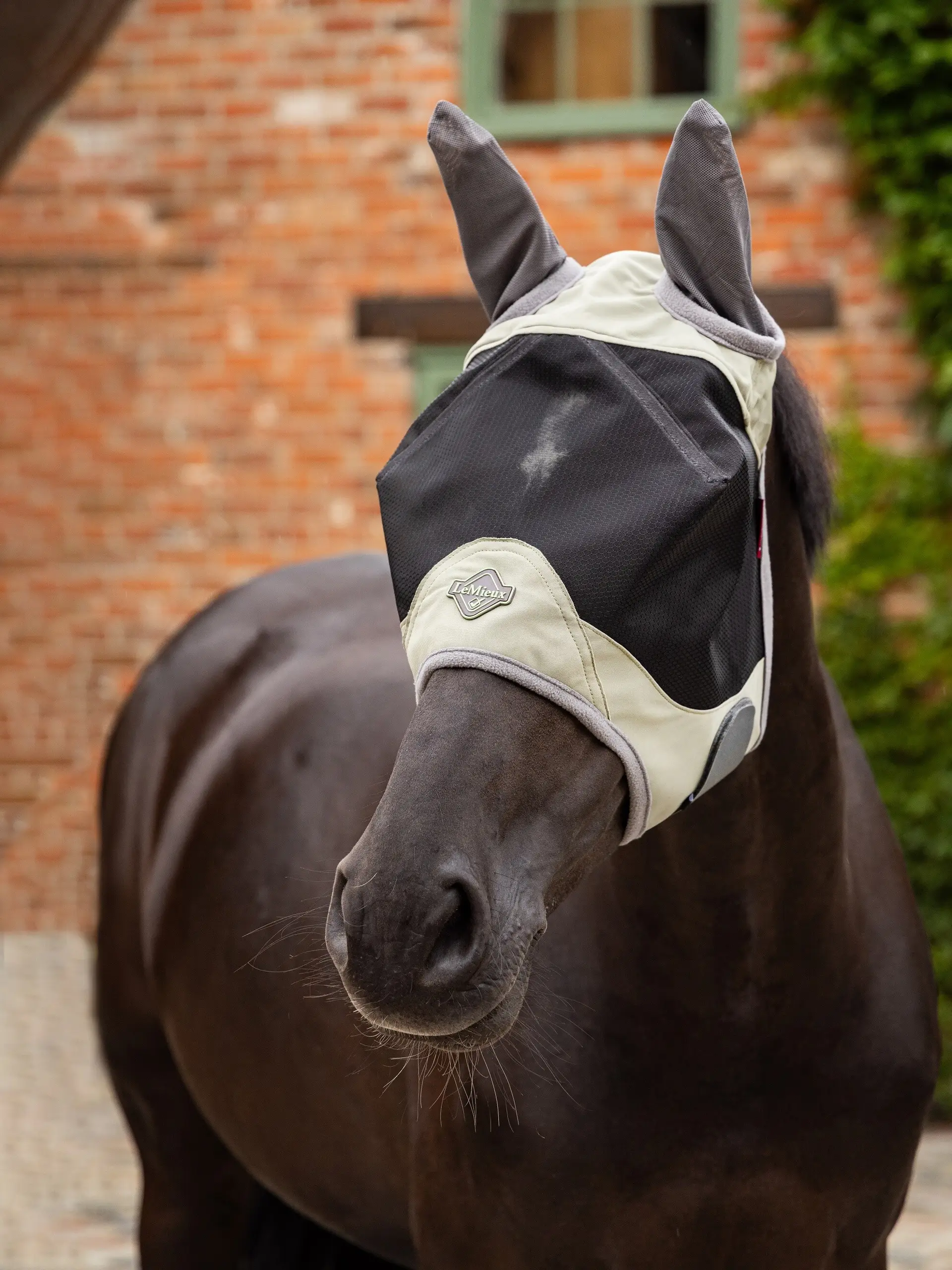 Maska proti hmyzu Lemieux Visor-Tek