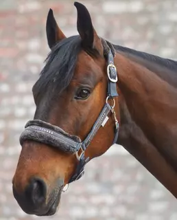 Elegantní ohlávka s beránkem a kamínky