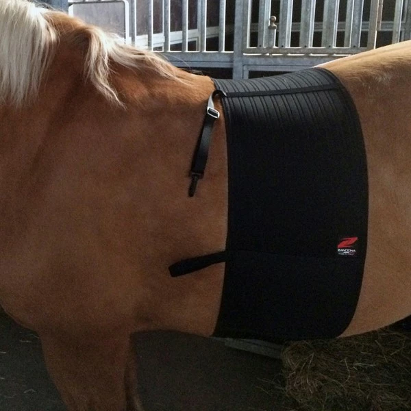 SUPERIOR CHAFE GUARD Zandona ochranný pás