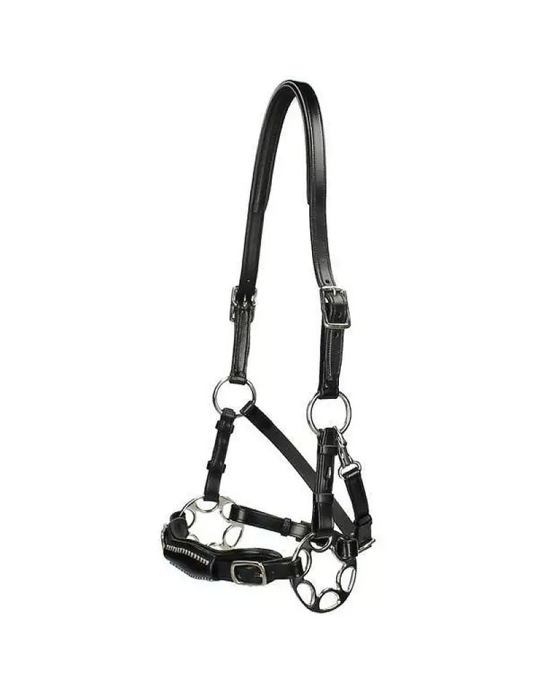 Hackamore uzdečka F.R.A. Miranti