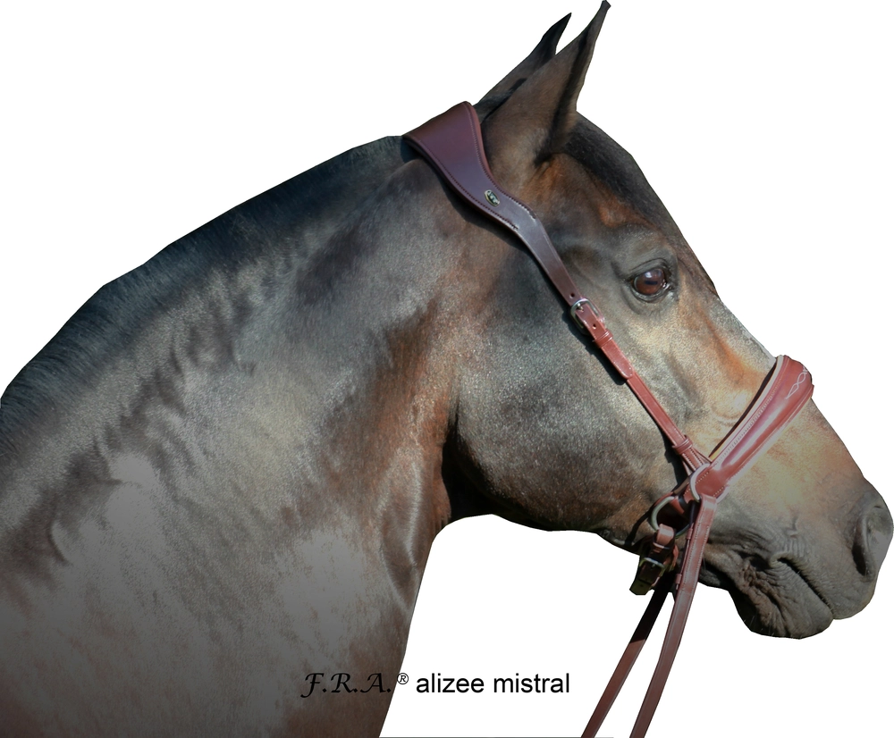 Bezudidlová uzdečka F.R.A. Alizée Mistral