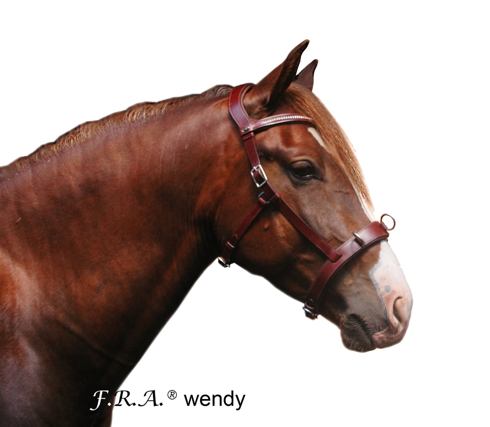 Obnosková uzdečka F.R.A. Wendy
