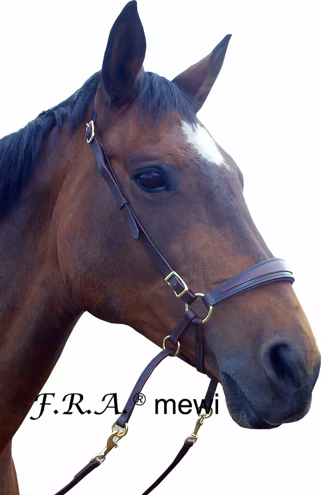 Bezudidlová uzdečka F.R.A. Mewi
