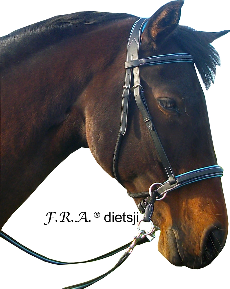 Bezudidlová uzdečka F.R.A. Dietsji