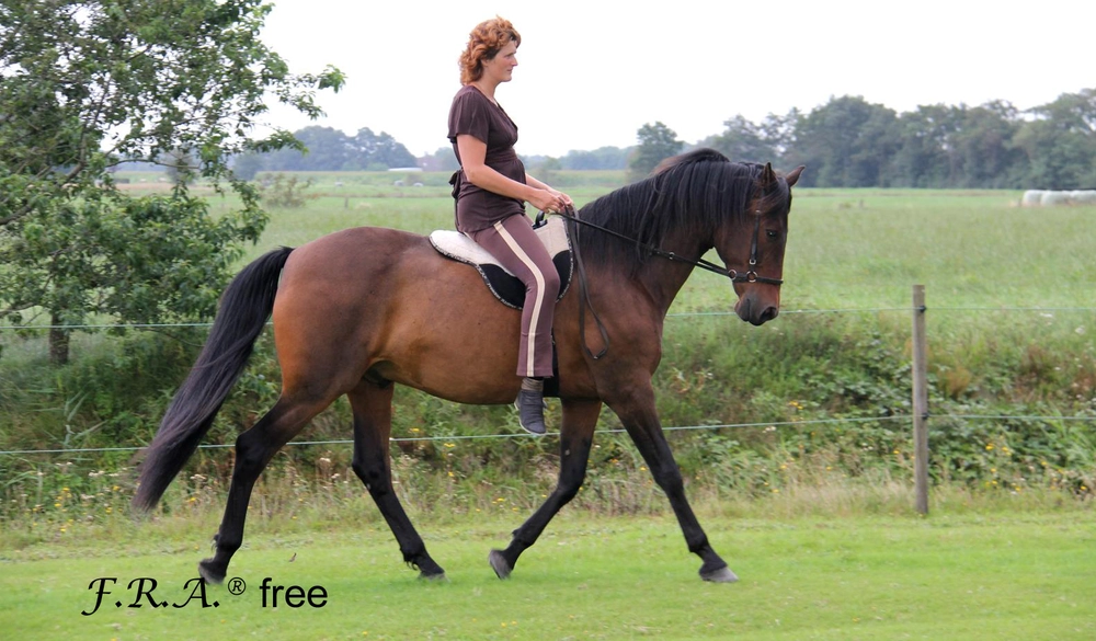 Beránkový pad F.R.A. Free