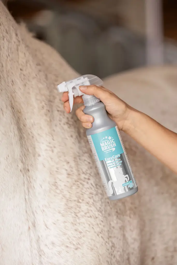 Suchý šampon MagicBrush EasyCare, 500 ml