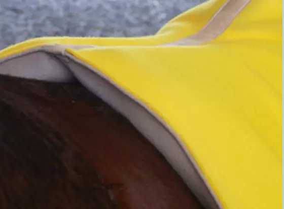 Filzsattel filcový pad Standard