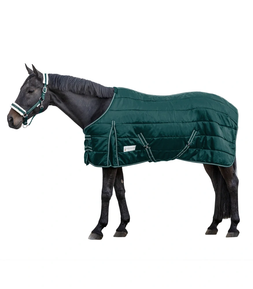 Stájová deka Economic 300g